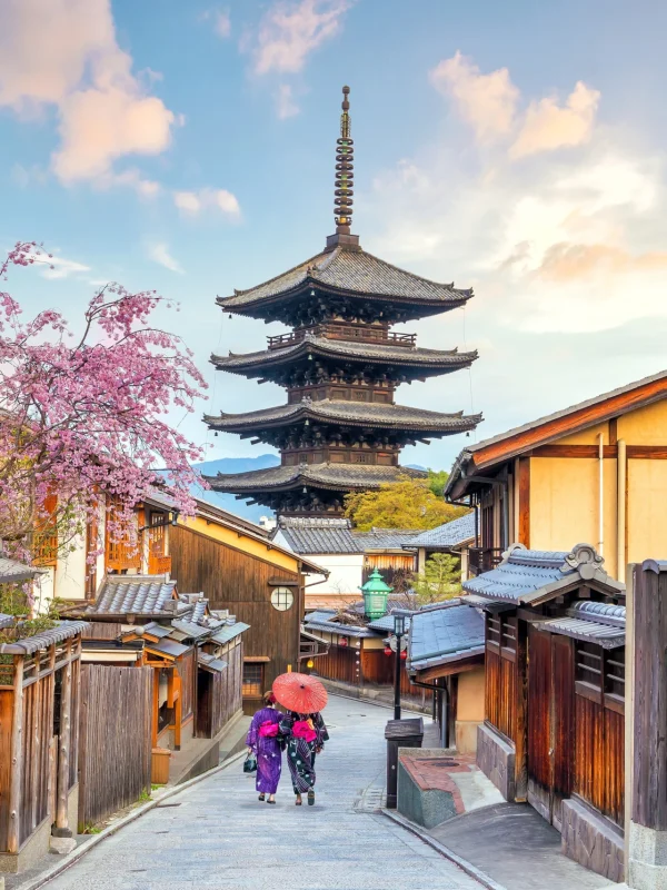 95724575_l_normal_none